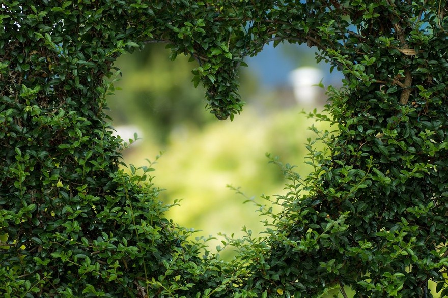 l'amore per il giardino e il verde.jpg