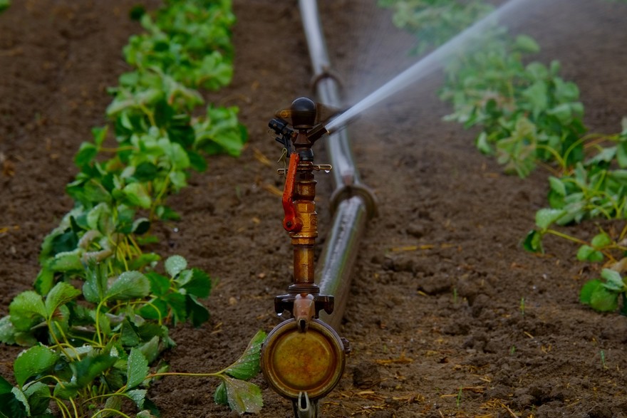 Irrigazione orto