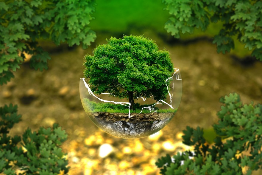 Costruire Green costituisce un'opportunità di sviluppo