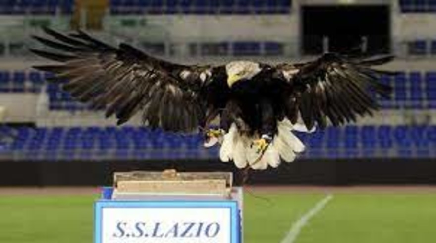 Sospeso il falconiere che fa il saluto romano