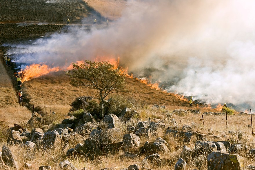In Ue a fuoco 400mila ettari ogni anno