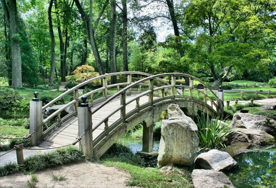 parco ponte.jpg