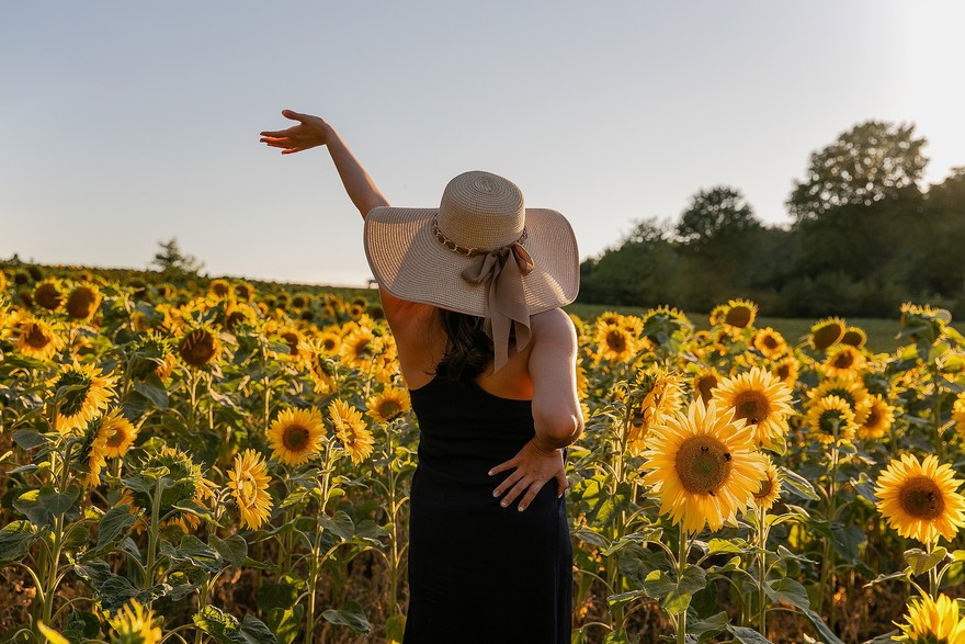 Sos fiori italiani, a rischio 15% vivai