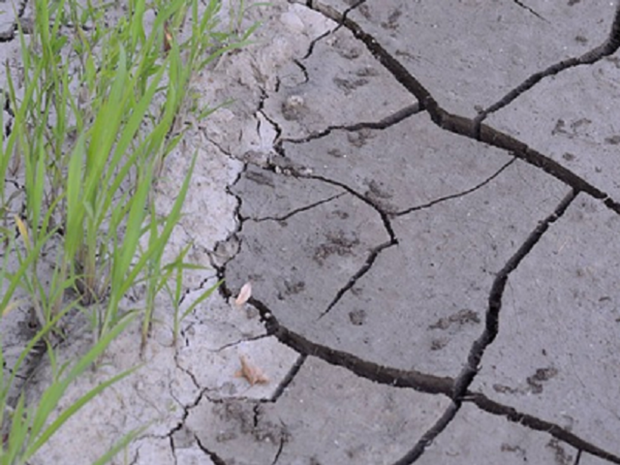 Desertificazione e degrado del suolo, la situazione peggiora