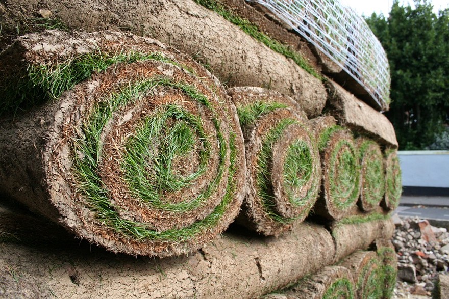 L'erba a rullo, l'effetto campo da calcio nel vostro giardino