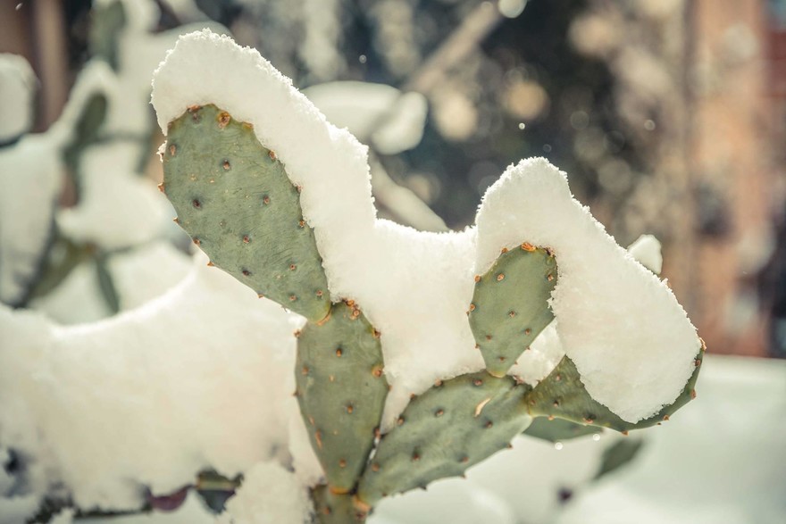Solstizio d'inverno 2024, oggi è il giorno più corto dell'anno