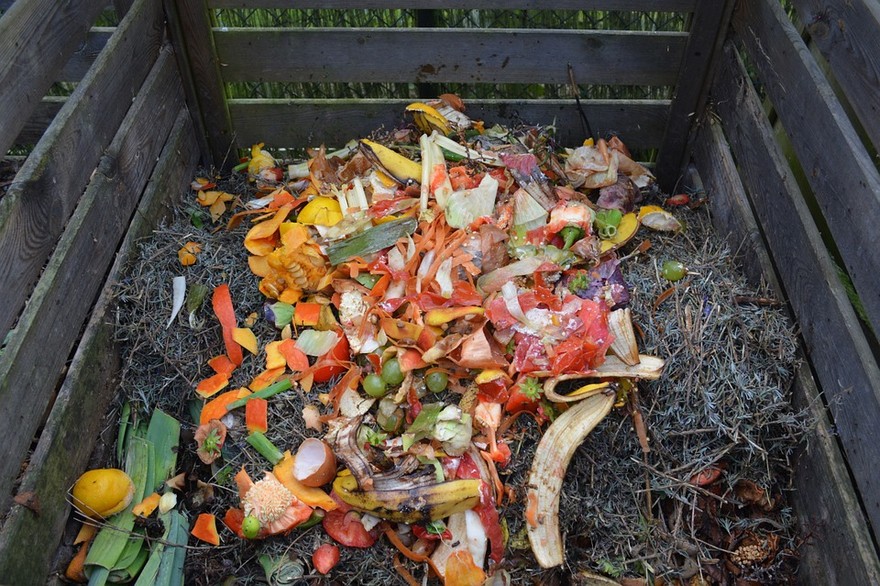 Compost foto da Pixabay.jpg