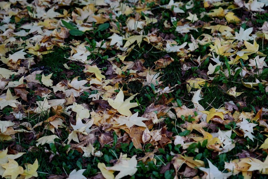 Oggi inizia la nuova stagione, finisce l'Estate